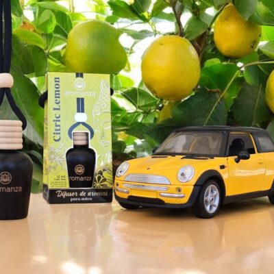 Difusor Auto Citric Limón